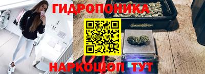 ешки Краснодар